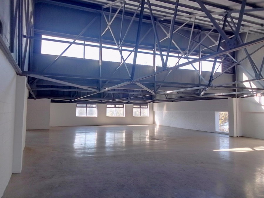 To Let commercial Property for Rent in Diep River Western Cape